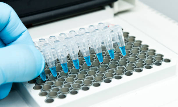 Why Laboratory Diagnostics Are Essential for Modern Fish Farming