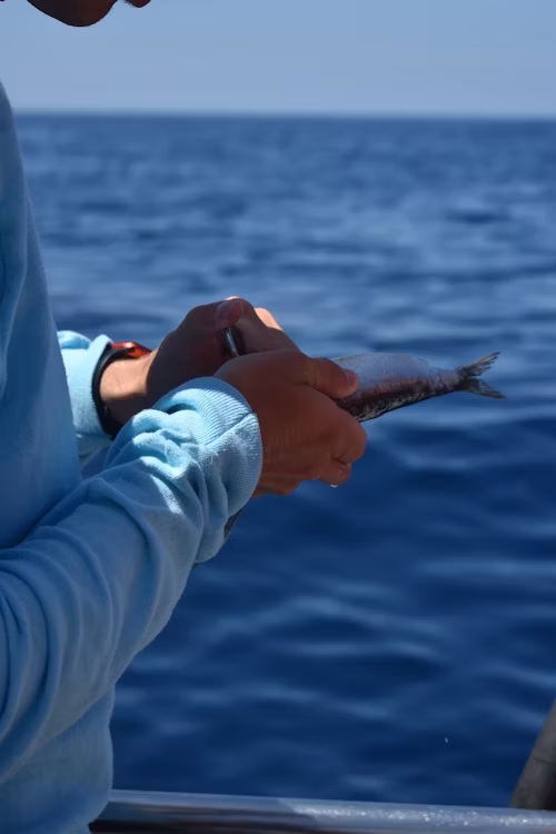 About Optimal Market Innovations